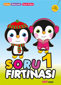 soru-firtinasi2
